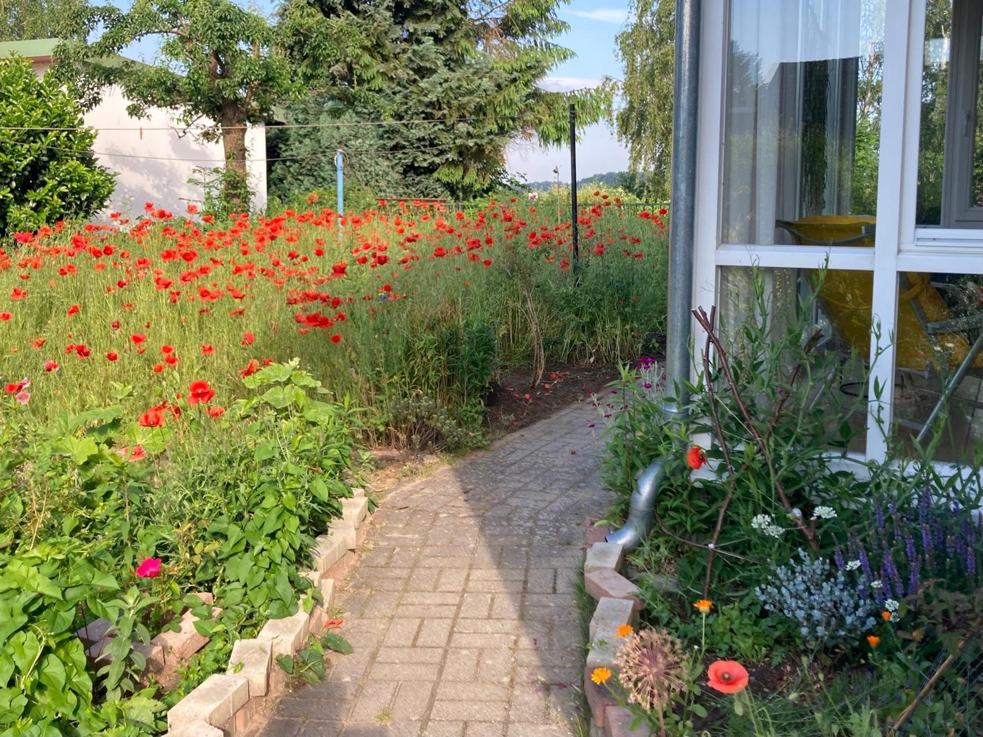 Ferienhaus Am Wasser Im Gruenen Zecherin Экстерьер фото